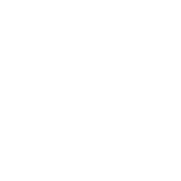 Commemorative Trophy