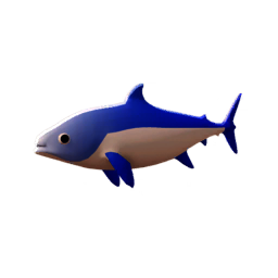 Blue Catshark