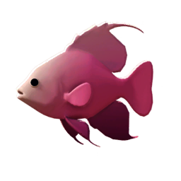 Pinkfin Flamefish