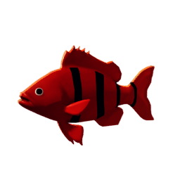 Red Banded Fish