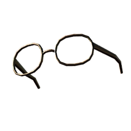 Gold Frame Glasses