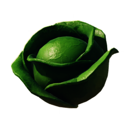 *Item_Cabbage*