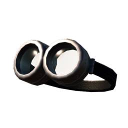Goggles