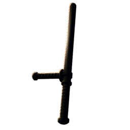 Police Baton